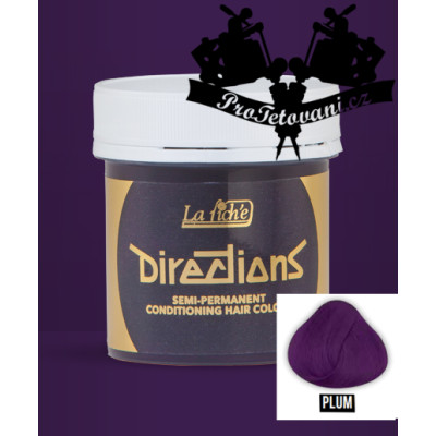 La Riche Directions Plum barva na vlasy