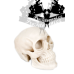 Super realistická lebka plné velikosti SILIKON