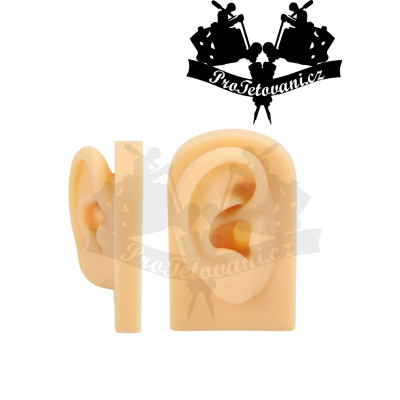 Trénovací tetovací kůže 3D UCHO PIERCING
